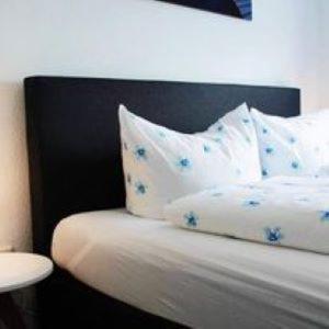 Hotel Restaurant Harrier Hof Браке Екстер'єр фото